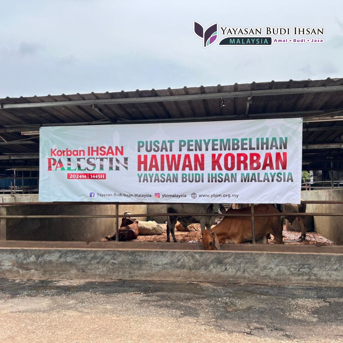 Read more about the article Suasana Ibadah Korban di Pusat Sembelihan YBIM Tahun 2024