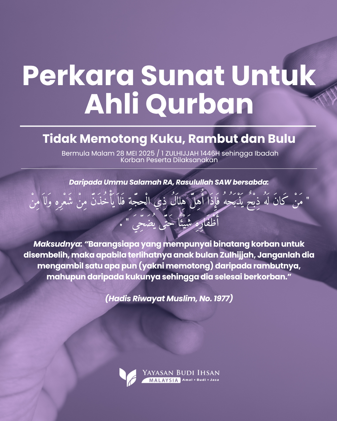 Read more about the article Perkara Sunat Untuk Ahli Qurban